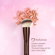 Dual Tip Pro - Everything Brush